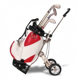 Set stylos sac de club de golf