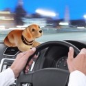 Chien à tête qui remue pour voiture