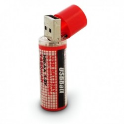 Pile AA rechargeable avec port USB 