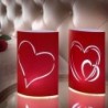 Lampions avec lumières LED avec cœurs (lot de 2) 