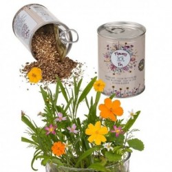 Boîte de conserve graines de fleurs des prés à planter