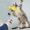 Jouet plume pour chat à agiter pour chaussure