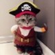 Costume pour chat pirate