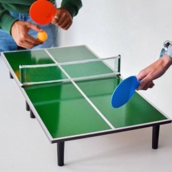 Table de Ping Pong Portative avec 2 Raquettes, Filet et 4 Balles - Plaisir de Jeu Partout