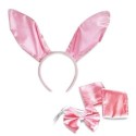 Costume sexy Lapine 4 pièces