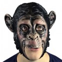 Masque chimpanzé