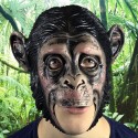 Masque chimpanzé