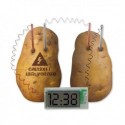 Réveil fonctionnant à l'énergie de pommes de terre 